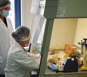 天津市公安局物證鑒定中心全力以赴確認天津港"8·12"瑞海公司爆炸事故遇難者身份